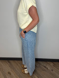 Pin Stripe Denim Pant