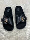 Black Passport Slide