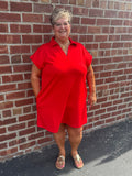 Collared Basic Dress