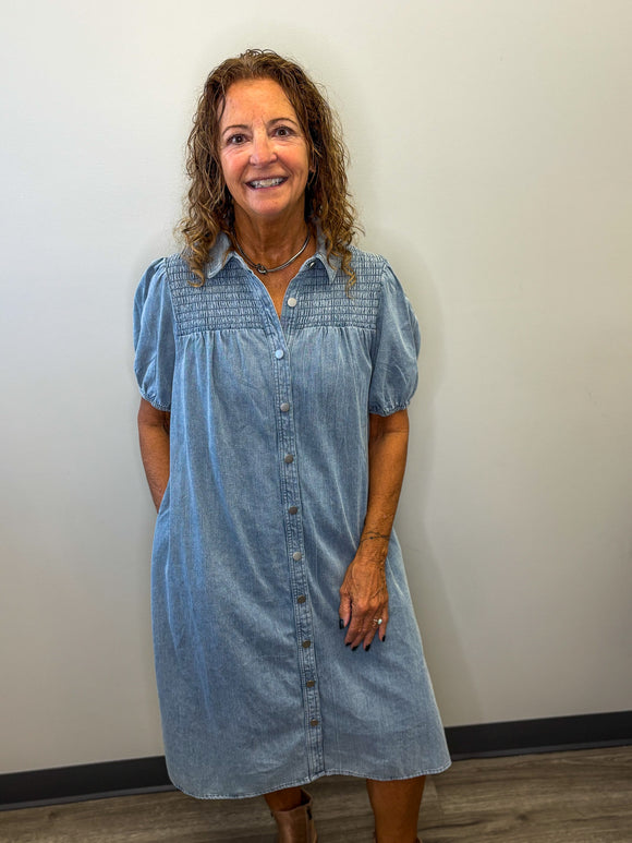 Rowdy Denim Collar Dress